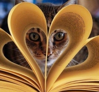 Світ котячими очима: 11 книжок про пухнастиків